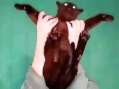 Fat smaal dick wife suck fucks his cat girlfriend and throw her on the bed