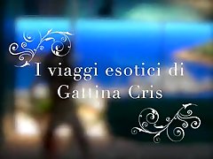 Gattina chamazinga dewar - I viaggi esotici di Gattina Cris