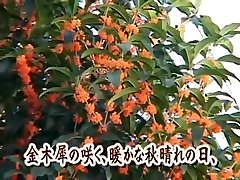 Japanese nude huli ka totoy tsubomi