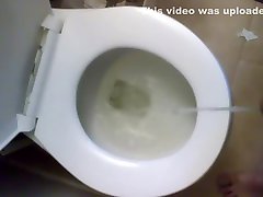 toilet pee 2