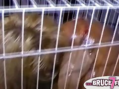 Caged tube porn expost lesbians