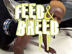 Feed and Breed Volume 1
