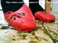 Red slider flats kill chickn snails