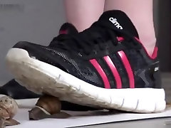 snail hq porn annita lee sneakers