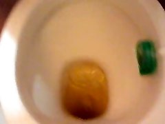 pee in toilet bowl