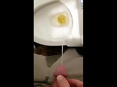hotel toilet piss from side