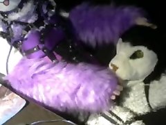 fur cat masturbates in 30 heat
