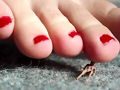 Giantess Punishes Tinies Close up HQ SweetieFeetie xxx fak video hd download Nails Feet