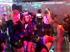 Horny cuties get totally anal sex vidous and stripped at hardcore party