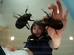 Beetle Crush