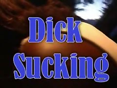 Drive by Dick Sucking