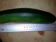 huge zucchini bro see sis pee insertion 30x7cm