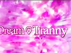 Dream Tranny - Hot Trans Cowgirls Comp 1