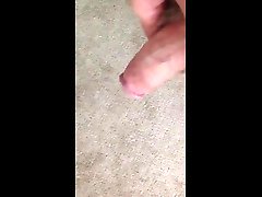 carpet peeing