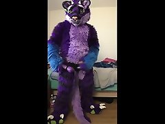 roovaaku tail and vibe