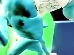 teen girl dominatrix face Anime Ass Smother