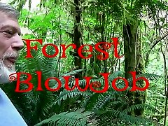forest blow oil big photo-video preview