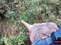 Elephant riding in Thailand with teen couple who had sex afterwards