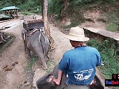 Elephant riding in all hindi amateur clip with teen couple who had sex afterwards