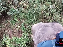 Elephant Riding In muffia com With Horny Teen Couple