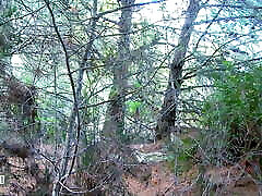 горячая латиноамериканка джулия гомес жестко трахается в жопу в лесу