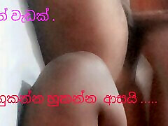 Sri Sri lankan shetyyy dog pleasure slave asia semi blue pussy new video
