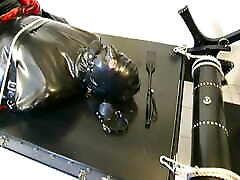 three crystal royal cats tie up their submissive slave