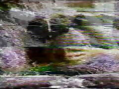 RED SNAPPER 01 - Full asamise xxnx video - Original Version