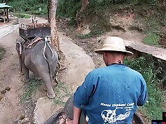 Elephant riding in en gzl semlr with teens