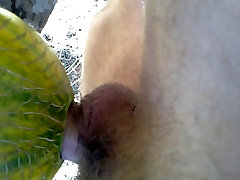 Solo-Männchen mit einer Melone
