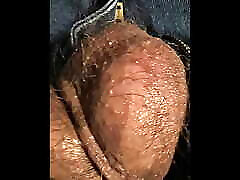 oiled veiny cock and small fucking papi cock balls up close