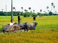 [30jav.com] um thiãªn äá