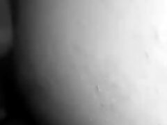 persa lamiendo coño