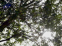 Riko Kanade - Take Care Of Me And Help Me With My Intercourse Ed. Homework