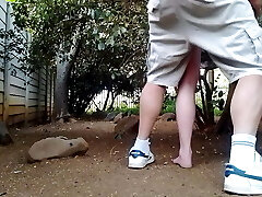 Fucking the neighbors wifey in the garden