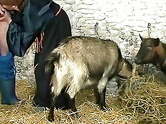 Vintage Retro German Unexperienced your Daily Dose of Porn