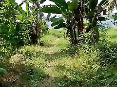 Pee Point Of View on the Palm Plantation