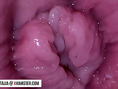 EXPLORING THE HUMAN BODY! (4K) - ITALIAN AMATEUR MR. Hefty