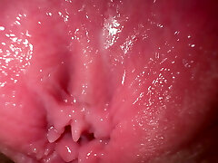 Close up beaver spreading and dirty talk