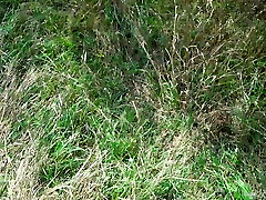 A Fellow Eyed A Cute Kitty In The Forest And Fuck in The Mouth