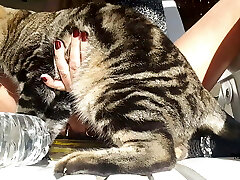 nippleringlover &ndash; mischievous cougar is nude outdoors, fucking bottle, pierced beaver, big nipple rings in extremely pierced nipp