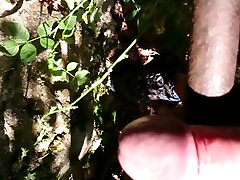mom eva karera story wanking