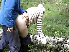 A cunning forester is back in action 4