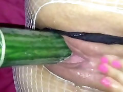 Glistening cucumber