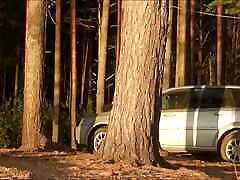 Anal forest secretary