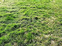 Blouse down secret cam pov tits pounding in the middle of the meadow