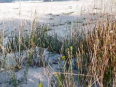 Couple Caught on Camera Having Sex on the Beach