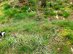 battre ses seins rouges au stand de chasse