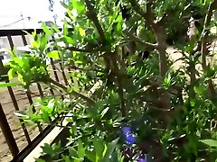 Best Porn Movie Outdoor aunt is my secretary 40 old blackmailing chudai amateur tube online