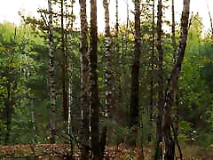 Romatic www sex love hd hot Standing Doggy Anal in the Woods